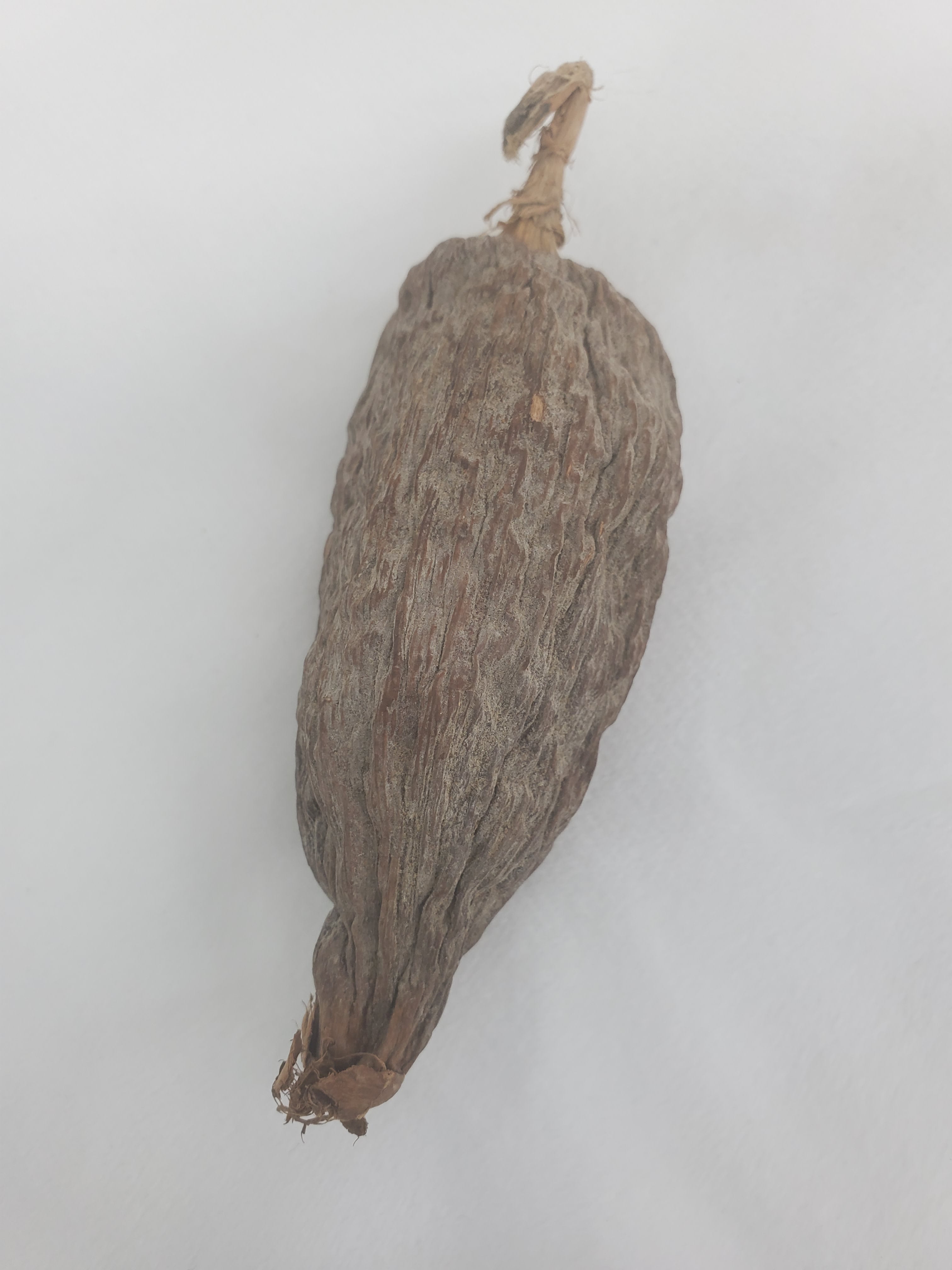 Alligator Pepper \ Atare
